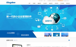 金蝶KIS產品官網的網絡工程建設全面解析